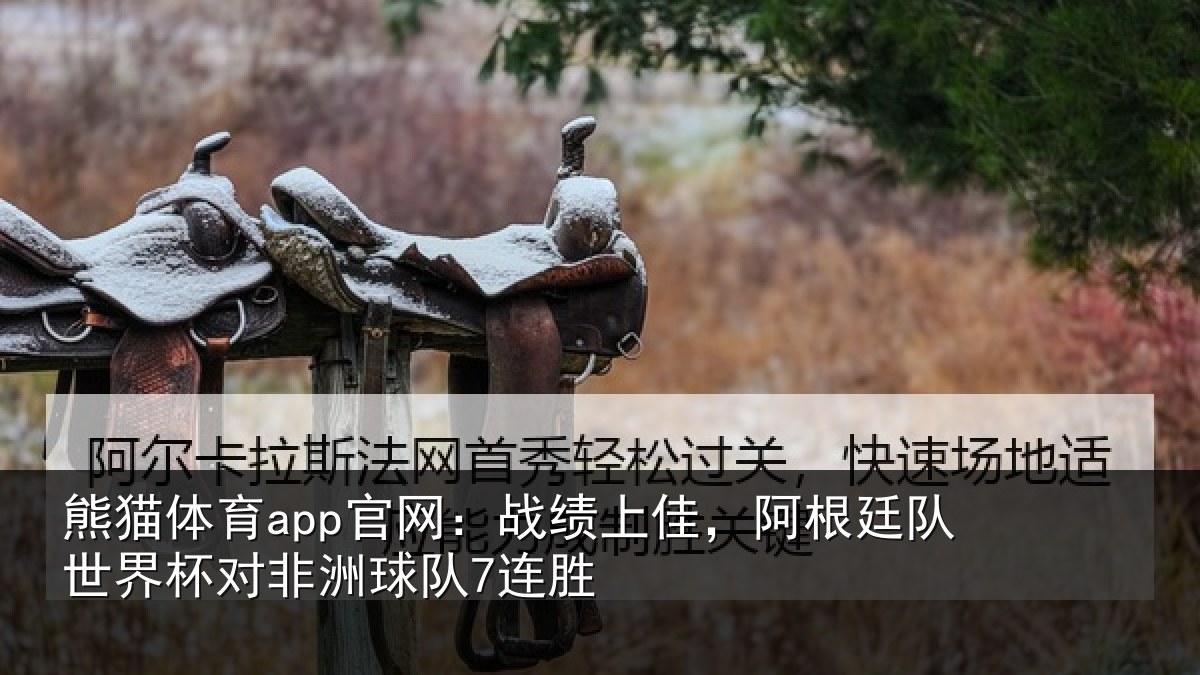 熊猫体育app官网:战绩上佳,阿根廷队世界杯对非洲球队7连胜