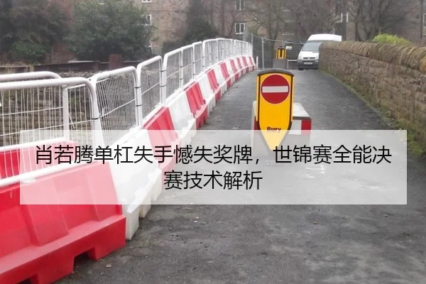 肖若腾单杠失手憾失奖牌，世锦赛全能决赛技术解析
