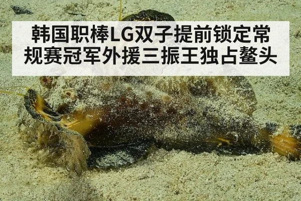韩国职棒LG双子提前锁定常规赛冠军外援三振王独占鳌头